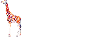Giraffe — Элитное экскорт-агентство в Казани